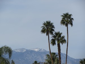 Palm Desert