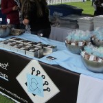 California Wine Festival