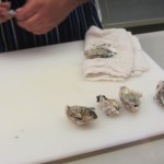 SlapFish Oyster Shuck