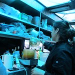 SoCo Farmer's Market farm to food truck challenge