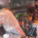 SoCo Farmer's Market farm to food truck challenge