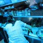 SoCo Farmer's Market farm to food truck challenge