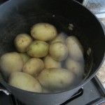 Fourth of July Potato Salad Recipe - Boil Potatoes