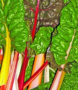Image of Kekela Farms - Rainbow Chard Kekela Farms - Rainbow Chard