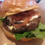 Swiss and Onion Burger