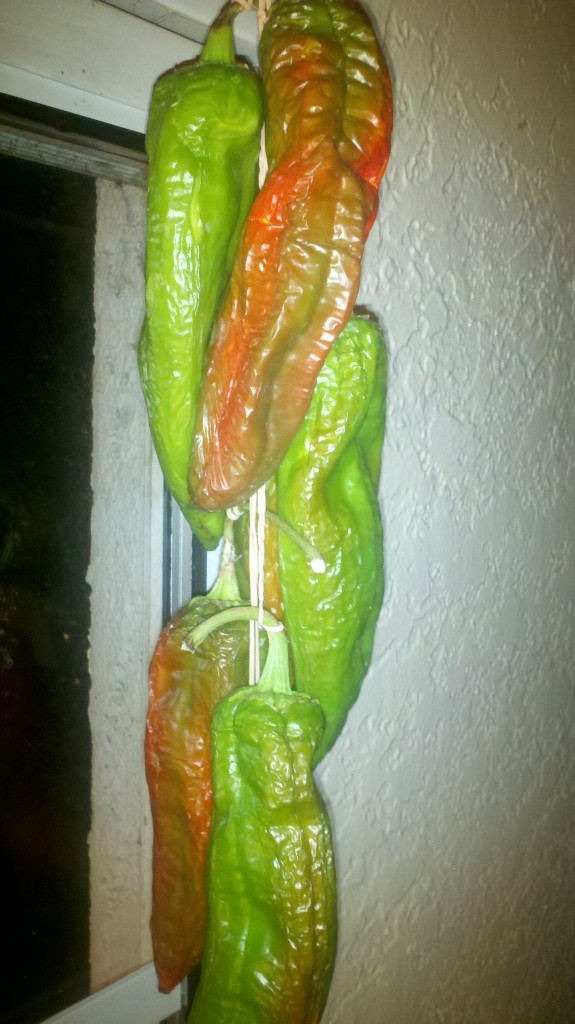 2012-09-19_05-47-10_408 Time Lapse Photo Blog of Air Dried Hatch Chilies