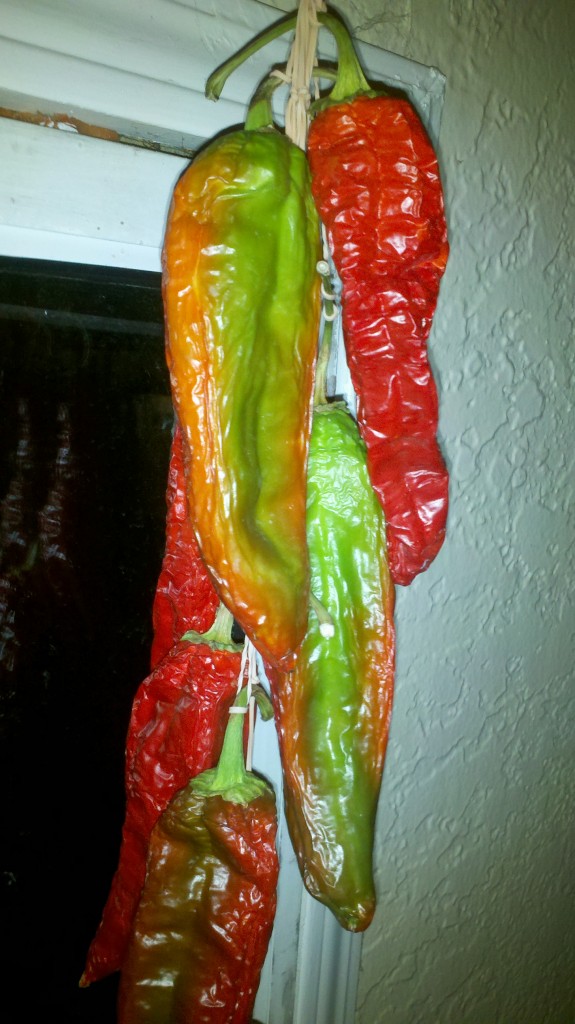 2012-09-23_22-38-43_109 Time Lapse Photo Blog of Air Dried Hatch Chilies