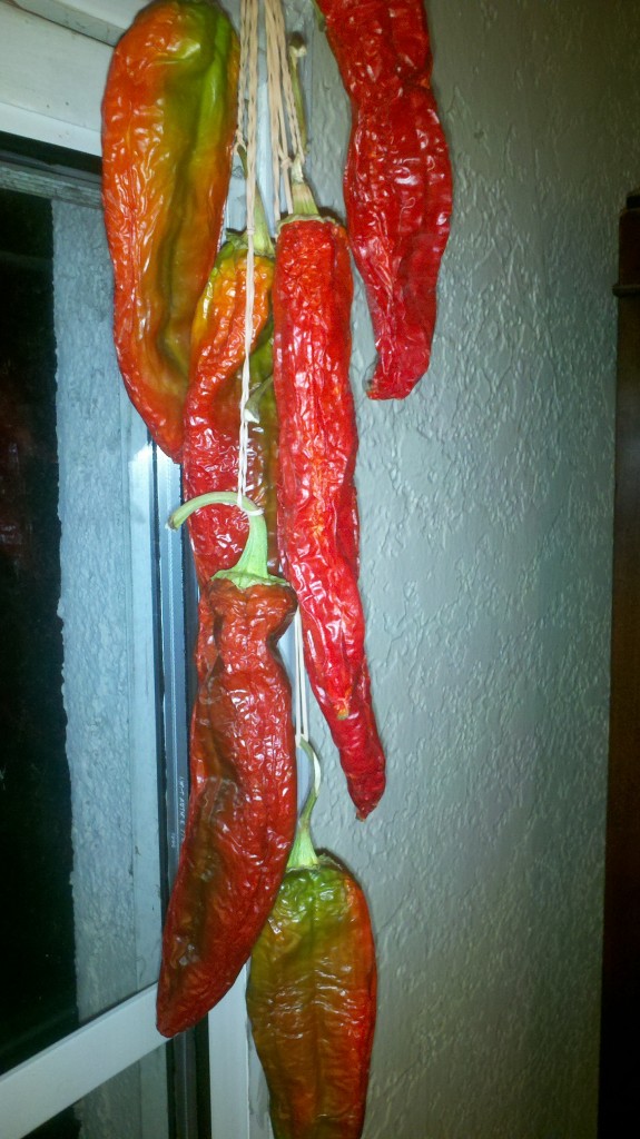 2012-09-24_21-37-10_986 Time Lapse Photo Blog of Air Dried Hatch Chilies