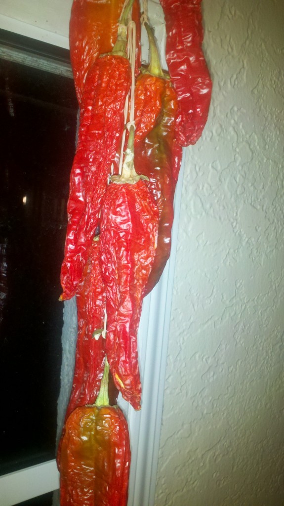 2012-09-26_20-31-32_838 Time Lapse Photo Blog of Air Dried Hatch Chilies