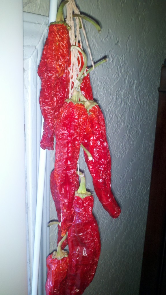 2012-10-02_07-01-30_736