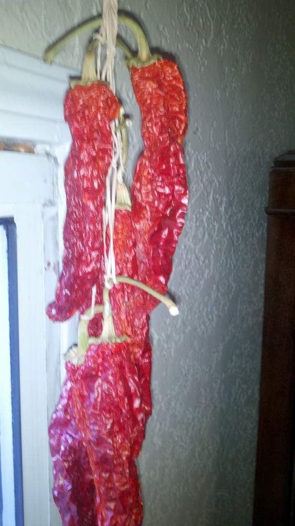 2012-10-13_17-41-38_157