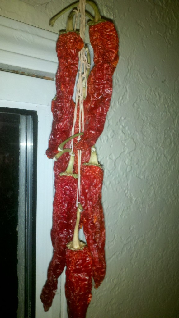 2012-10-15_21-09-14_698