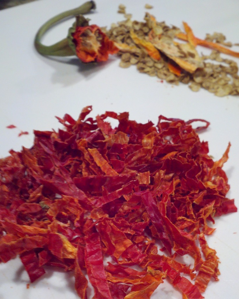 2012-10-20_13-25-21_335