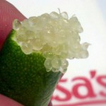 finger lime capture