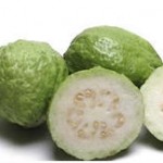 Guava – 60 pt.