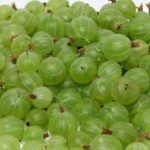 Gooseberries – 60 pt