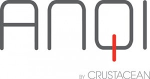 ANQI logo