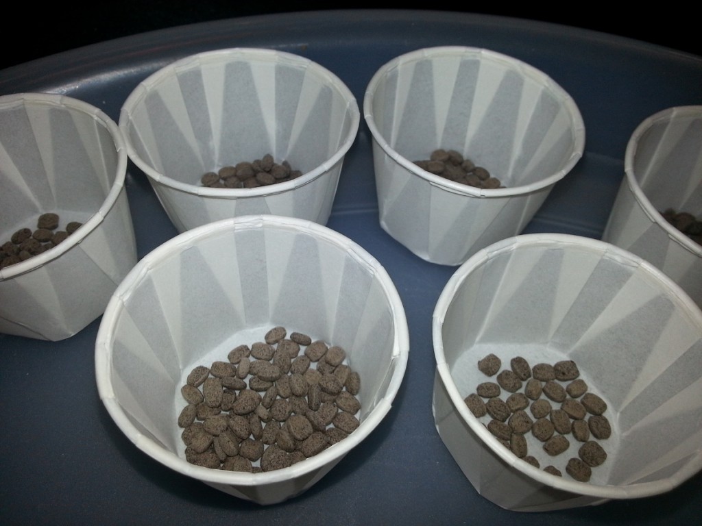 Body Crunch Whey by Body 360