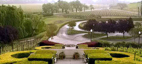 Napa Valley Domaine Carneros