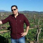 Napa Valley Tom Holmberg