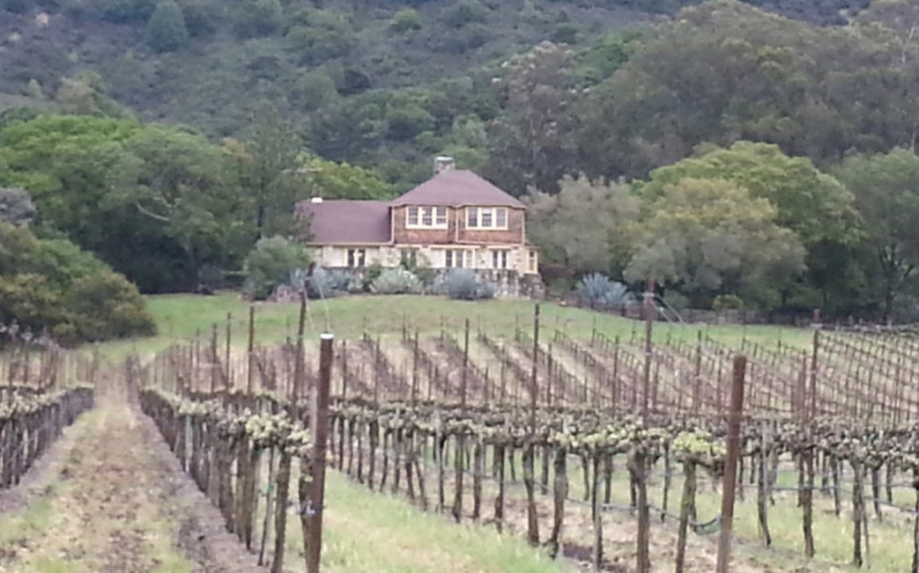 Napa Valley Vines