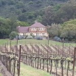 Napa Valley Vines