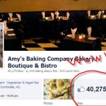 biggest gain of Facebook Fans in a single day. Congrats on doing something right