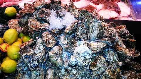 Cork Ireland English Market Fish Oysters