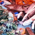 Cork Ireland English Market Fish and Oysters