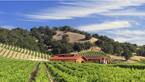 Hater Ranch Tasting Vineyards