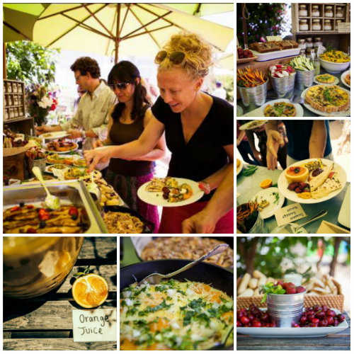 Sunday Brunch at the Ecology Center