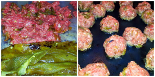 Hatch Meatball Collage