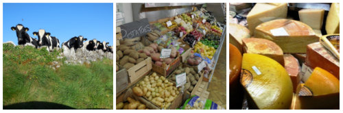 Ireland Cork Restaurants Farm Fresh Collage