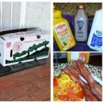 Winder Farms Collage 8