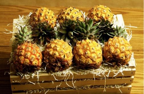 Product Review: Gift Baskets that don’t Suck