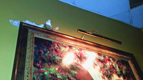 Tuscany Grill Frame and birds