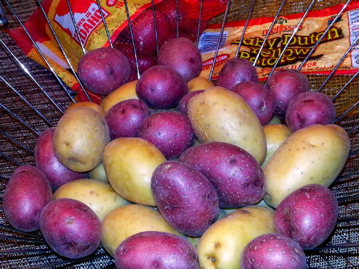 Irish Potato Kale and Bacon Soup - Dutch Yellow and Ruby Gold Potatoes Irish Potato Kale and Bacon Soup - Dutch Yellow and Ruby Gold Potatoes