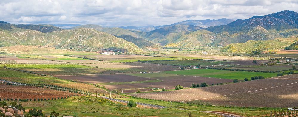 Guadalupe Valley Wine - View of Guadalupe Valley