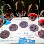 Guadalupe Valley Wine -  Wine Tasting