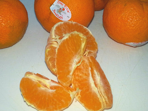 Ojai Pixie Tangerines are sweet and seedless, perfect for canning jelly and jam Making and Canning Tangerine Jam - Ojai Pixie Tangerines