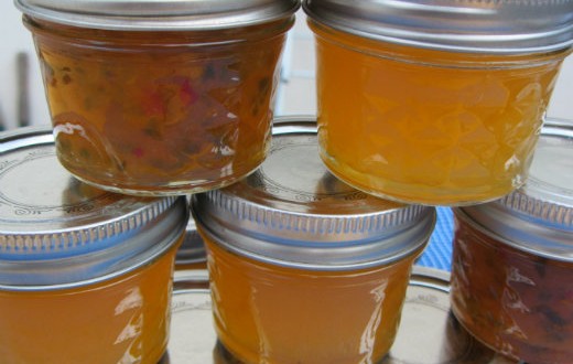 Recipe – Making and Canning Ojai Pixie Tangerine Jelly
