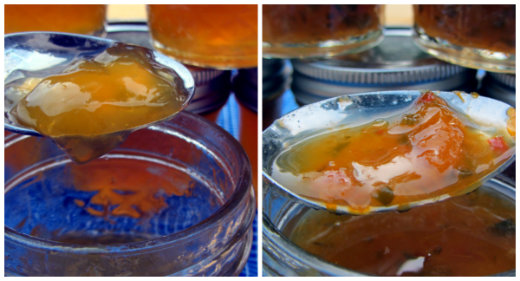 Making and Canning Tangerine Jam - Finished jelly and jam