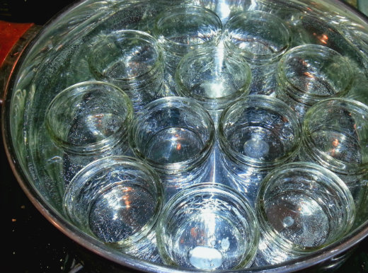 Cleanliness is next to godliness with canning - Sanitize the Ball jars in a boiling water bath Cleanliness is next to godliness with canning - Sanitize the Ball jars in a boiling water bath
