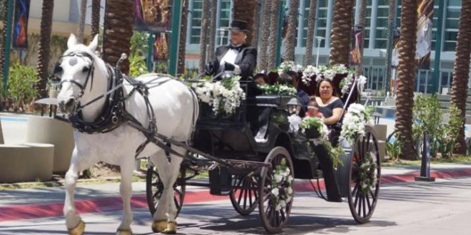 Hilton Anaheim “Queen Mums”  Themed Mother’s Day Brunch