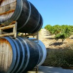 Understanding Paso Robles AVA and Microclimates