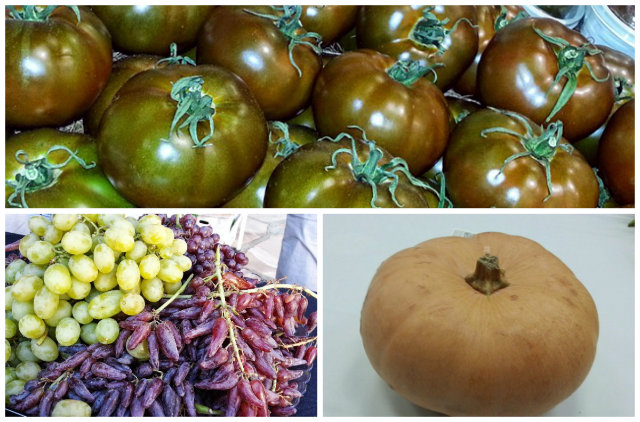 PMA Fresh Summit Produce Trends 2014 -  Frankensteins and Novel strains of produce