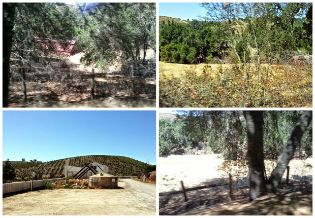 Paso Robles Adelaida Region is in the Northern Part of the West Side. The region has steep slops and dense forest as it is in the foothills alongside the mountains. Paso Robles AdelaidaRegion Geography is Rugged and and in the foothills alongside the mountains, in the Northern Part of the West Side