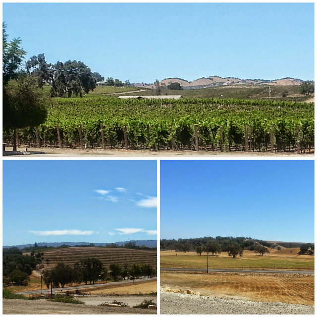 Paso Robles West Side Along Route 46