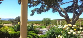 Top 10 Paso Robles Wineries