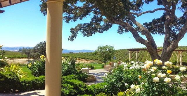 Top 10 Paso Robles Wineries